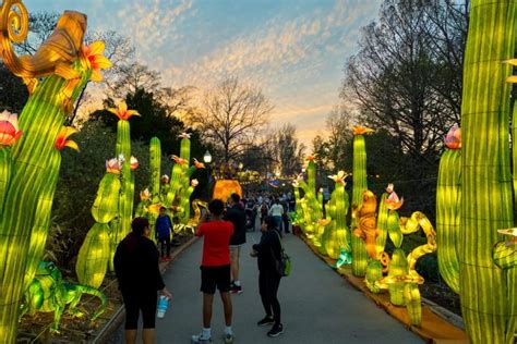 dior glass lantern|Tianyu Lights Festival Phoenix .